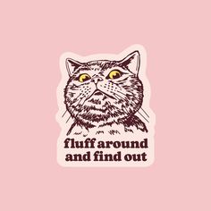 A cat sticker with text underneath that reads, 'fluff around and find out'. Sticker With Text, Mad Cat, Vet Medicine, Puzzle Crafts, Pony Club, Notes Gift, Dark Memes, Book Candle, Dried Floral