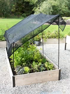 an outdoor garden with plants growing in it and a black cover over the planter