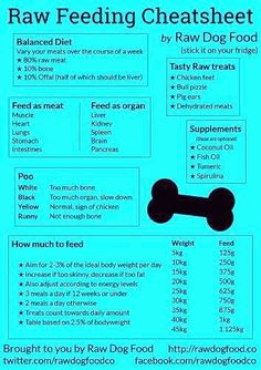 the raw dog food chart is shown in blue