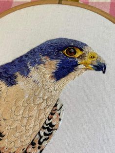 a close up of a bird on a piece of cloth