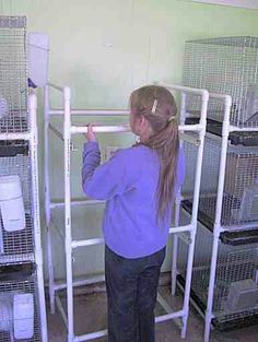 Hutch Raising Rabbits For Meat, Diy Rabbit Hutch, Meat Rabbits, Start A Website, Rabbit Cages, Bunny Cages, Chicken Cages, Rabbit Cage