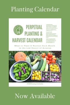 a poster with vegetables and fruits on it for the annual planting calendar, now available