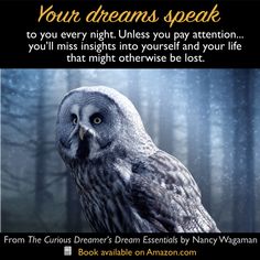 an owl sitting on top of a tree in the woods with a quote about your dreams speak to you every night unless you pay attention