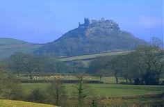 sheep graze on the grass in front of a castle like structure, surrounded by hills and trees