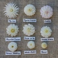 the flowers are labeled with names for each individual wedding party or special occasion to be