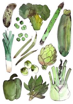 watercolor painting of vegetables including broccoli, cauliflower and celery