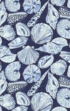 blue and white seashells on a black background with an ocean theme in the middle