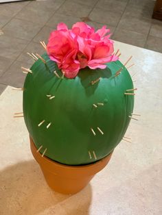 a green cactus with pink flowers on it's head sitting on a counter top