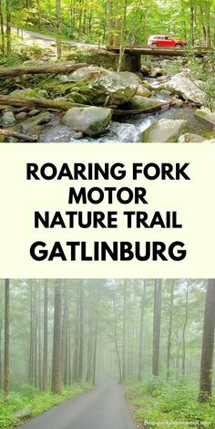 the road is surrounded by trees and rocks with text reading roaring fork motor nature trail gatlinburg