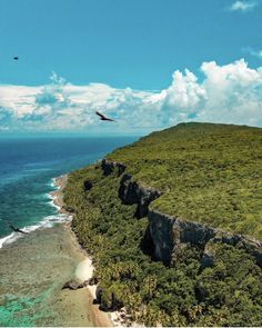 a bird flying over the ocean next to a rocky cliff with green vegetation on it