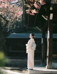 Kimono Photography, Japanese Traditional Clothing, Cute Kimonos, Japan Picture, Fine Art Portrait Photography, Nature Photoshoot, Japan Outfit, Japan Woman