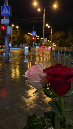 a red rose sitting on the side of a wet road at night with street lights in the background