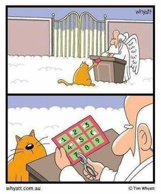 a cartoon strip with an image of a man and cat in front of a box