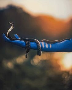 a blue hand holding a snake in it's arm with the sun setting behind it