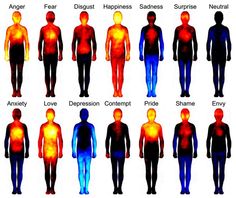 Emotions body maps Heat Map, Body Map, Skin Hydration, Strong Mind, Clean Food, Different Emotions, Mind Body Connection, Bowl Recipe, Les Chakras