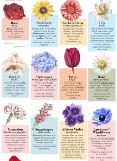 the different types of flowers that are blooming in each flower garden, and what they mean