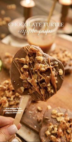 chocolate turtle apple pops on a stick with chopped nuts and caramel drizzle