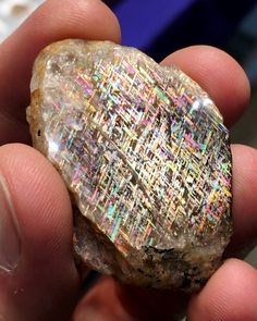 Lattice Sunstone, Northern Territory Australia, Rainbow Serpent, Northern Territory