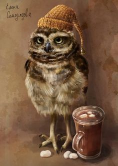 an owl wearing a hat next to a cup of coffee and marshmallows