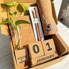 a box filled with different types of writing and office supplies next to a potted plant