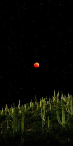 an orange object is in the dark sky above cacti