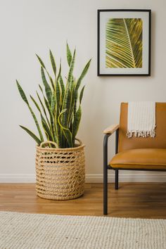 a plant in a basket next to a chair