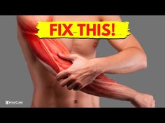 Arm Muscle Pain, Muscle Pain Relief Remedies, Dr Rowe, Neck And Shoulder Exercises, Arm Muscle, Forearm Muscles, Bicep Muscle, Muscle Knots, Pain Relief Remedies