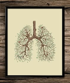 the lungs are made up of branches and leaves