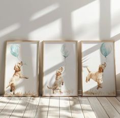 three framed pictures of dogs with balloons in their mouths, on a wooden floor against a white wall