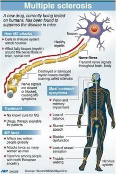 Multiple Sclerosis Ms Treatments, Wahls Protocol, Ms Warrior, Multiple Sclerosis Symptoms, Ms Diet, Ms Symptoms, Mumbo Jumbo, Ms Awareness, Multiple Sclerosis Awareness