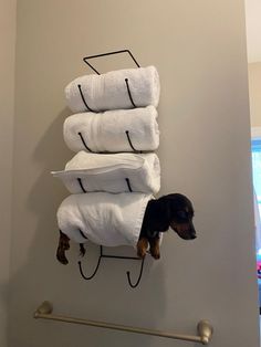 a black and brown dog hanging from a towel rack