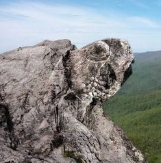 a person standing on top of a large rock next to a lush green forest covered hillside