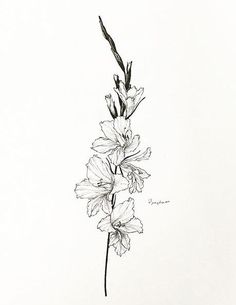 a black and white drawing of some flowers