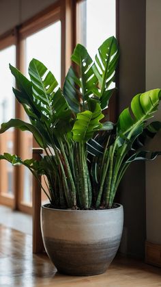 a large potted plant sitting on top of a wooden table next to a window