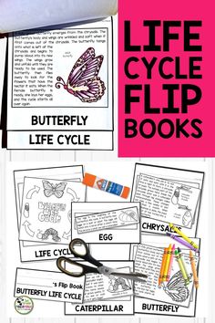 the butterfly life cycle flip book is filled with pictures and instructions to help kids learn how to use it