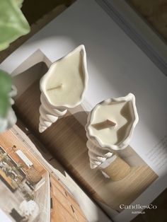 two white vases sitting on top of a table next to a plant in a vase