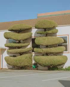 a building that has some plants growing out of it