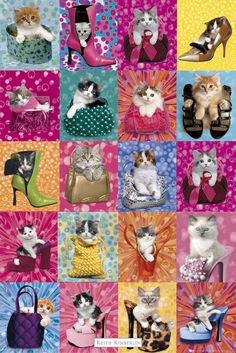 many different pictures of cats with shoes and purses on them, including one in the middle