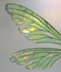 a close up view of the wings of a butterfly flying through the air with water droplets on it