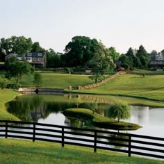 a pond in the middle of a lush green field