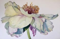 a painting of a large flower on a white background