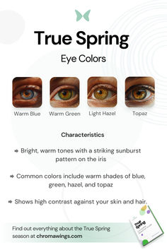 Showcasing 4 different eye colors typical for the True Spring season with it's characteristics below Warm Spring Color Palette Makeup, True Spring Color Palette Outfits, Season Analysis, Warm Spring Color Palette