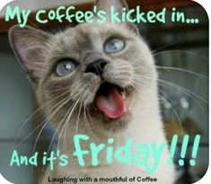 a cat with its mouth open and the caption says, my coffee's kicked in and it's friday laughing with a mouthful of coffee