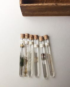 four glass vials with plants inside sitting on a table next to a wooden box