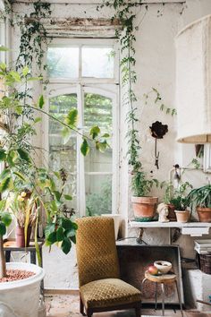 a room filled with lots of potted plants and greenery on the windowsill