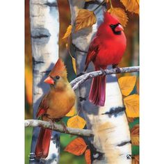 two red birds sitting on top of a tree branch next to leaves and birch trees