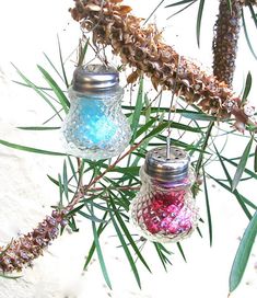 three glass jars are hanging from a tree branch with pine cones and needles in the background