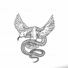 a drawing of a snake with wings