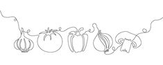 four vegetables are lined up in a row on a white background, with one line drawn to the side