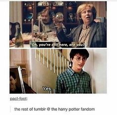 harry potter and ron weasley meme with caption that reads, oh you're still there, ok you? yes the rest of tumbr 8 thry potter fandom